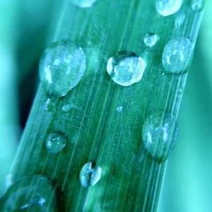 Meet your Posher, Lance